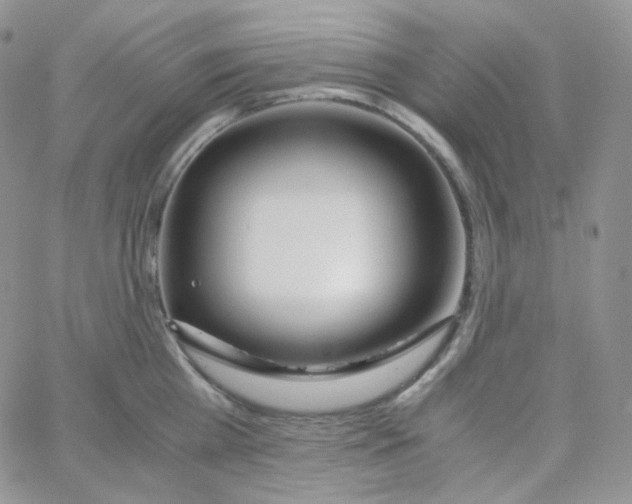 X0000065240809200603131101
