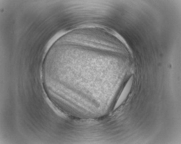 X0000065240811200603131101