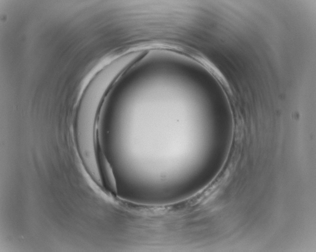 X0000065240813200603131101