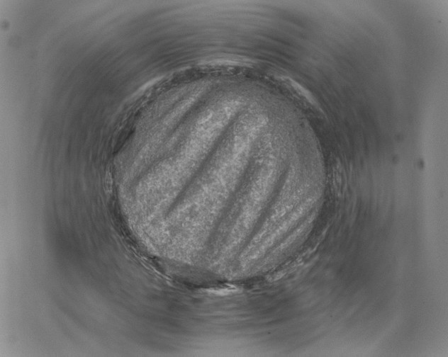 X0000065240821200603131100