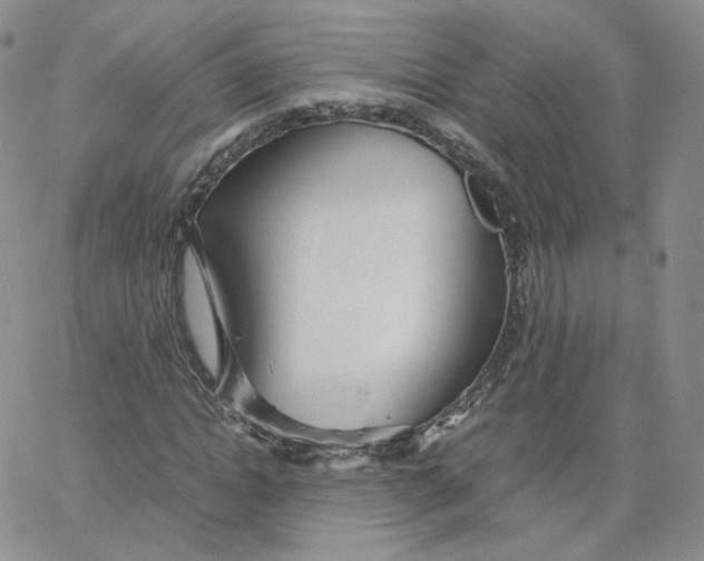 X0000065240822200603131100