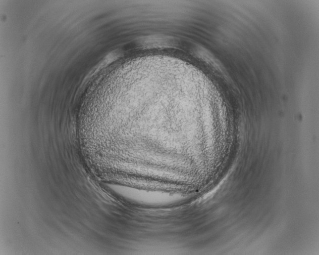 X0000065240825200603131101