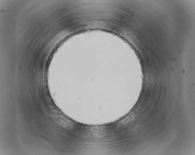 X0000065240832200603131101