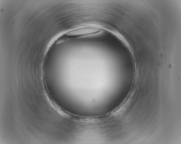 X0000065240862200603131101