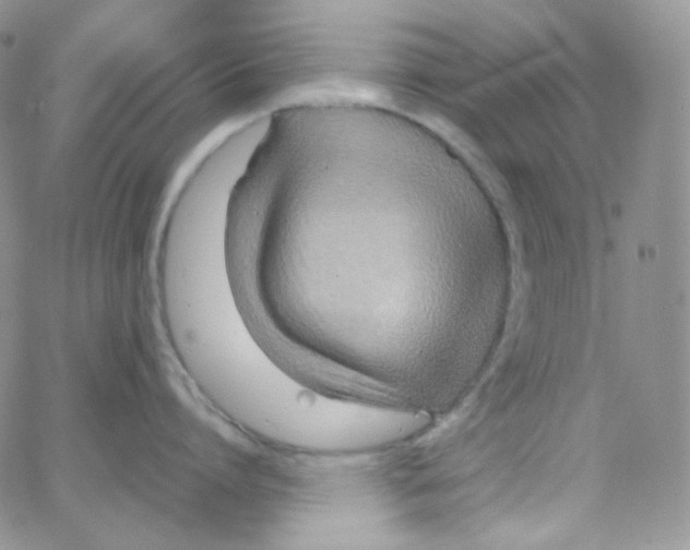X0000065240864200603131101