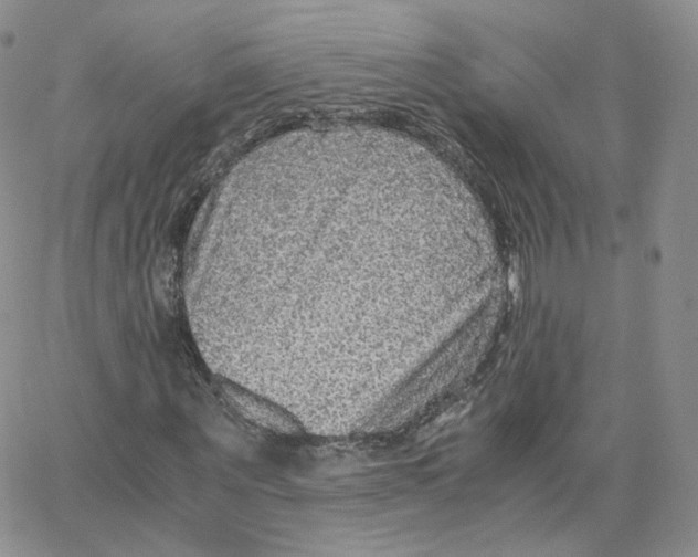 X0000065240867200603131100