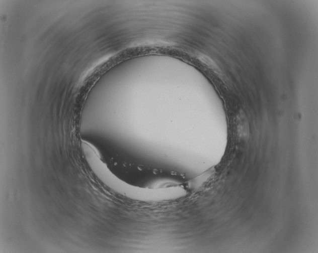 X0000065240872200603131100