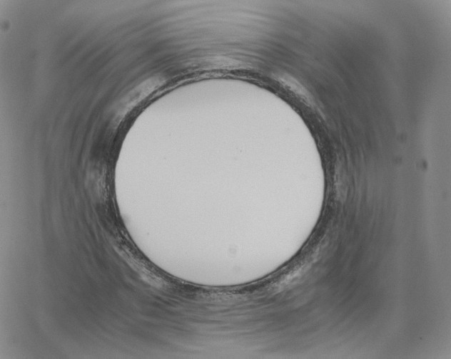 X0000065240873200603131100