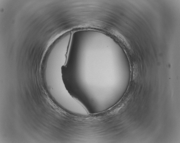 X0000065240876200603131100