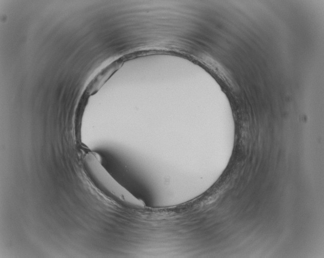 X0000065240884200603131100