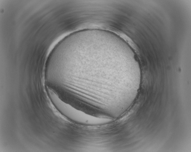 X0000065240904200603131100
