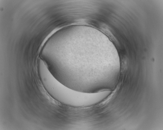 X0000065240908200603131100