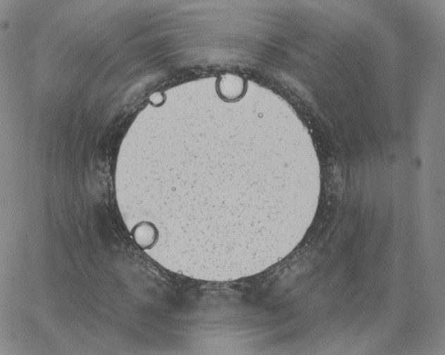 X0000065240918200603131059