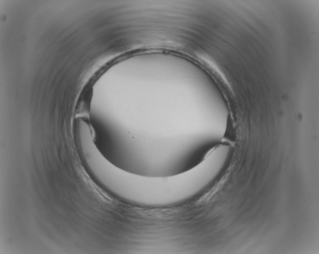 X0000065240932200603131059