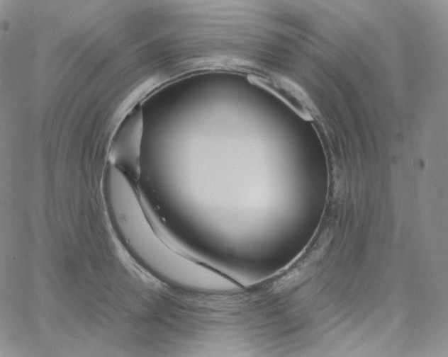 X0000065240946200603131059