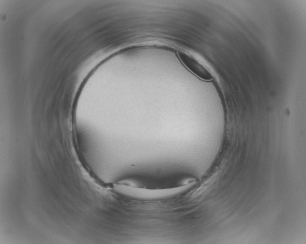 X0000065240951200603131059