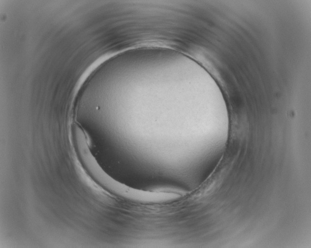 X0000065240955200603131100