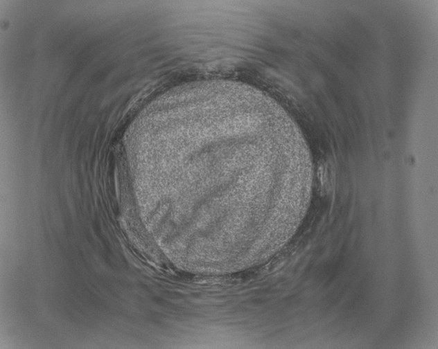 X0000065240963200603131059