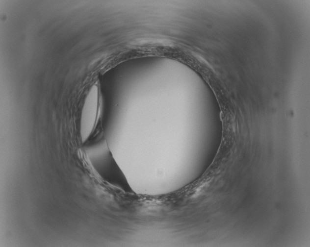 X0000065240965200603131059