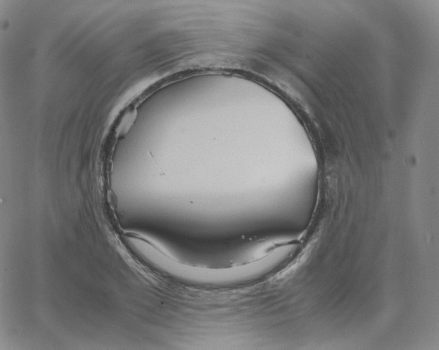 X0000065240981200603131058
