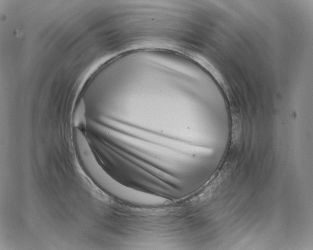 X0000065240996200603131058