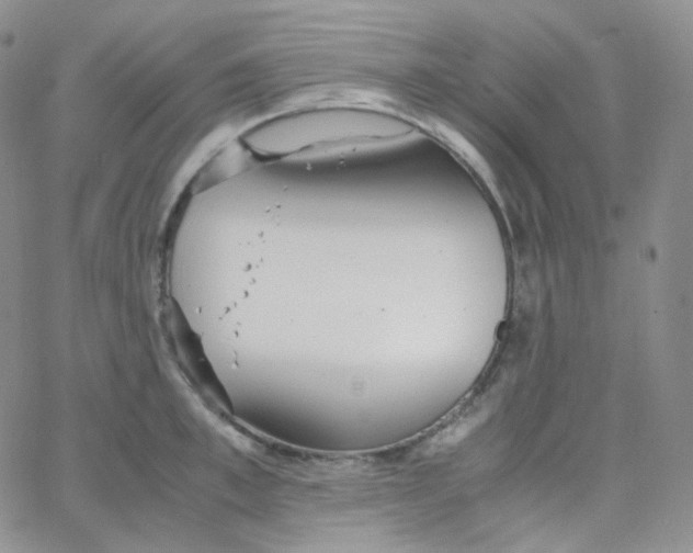 X0000065240997200603131058