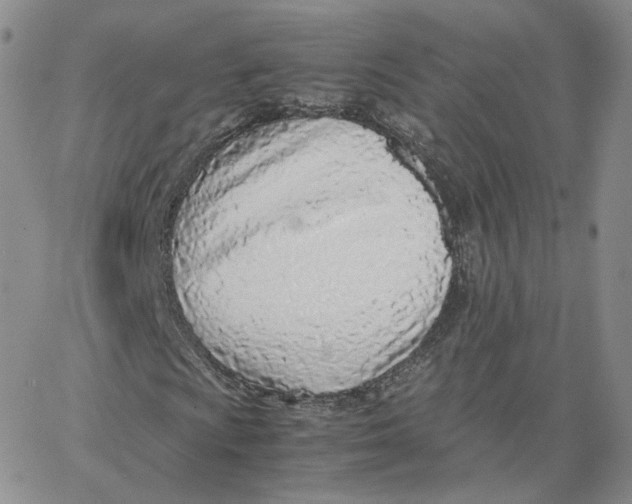 X0000065241009200603131057