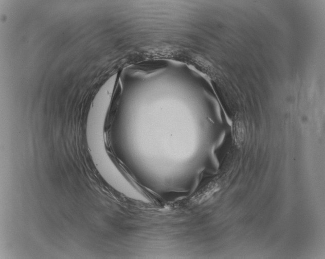 X0000065241010200603131057