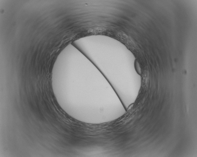 X0000065241012200603131057