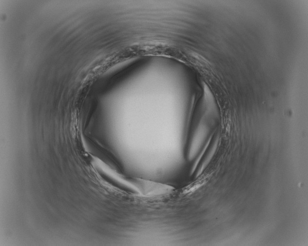 X0000065241014200603131057