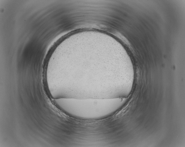 X0000065241020200603131057