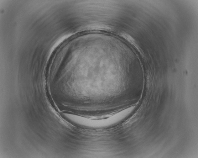 X0000065241024200603131058
