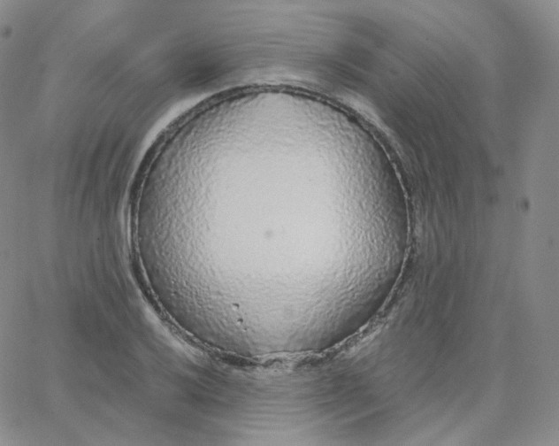 X0000065241032200603131058