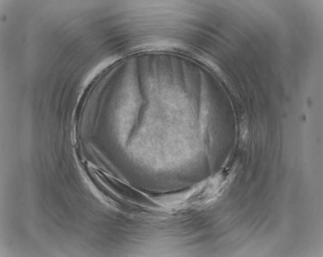 X0000065241034200603131058