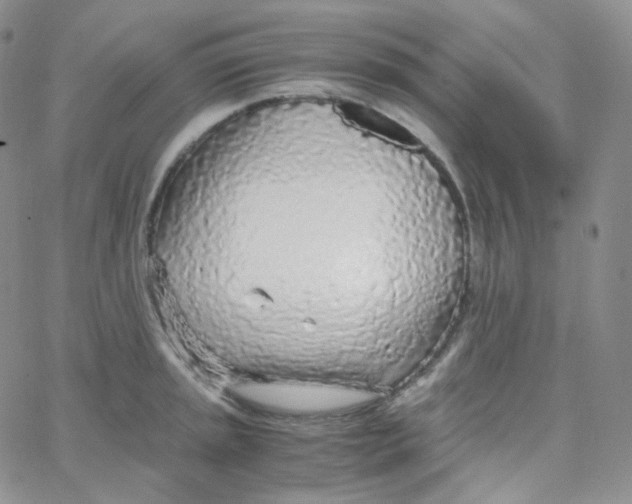 X0000065241045200603131058