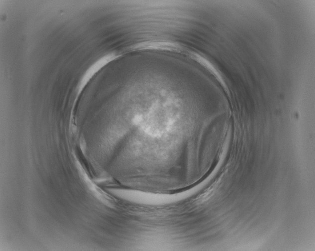 X0000065241050200603131058