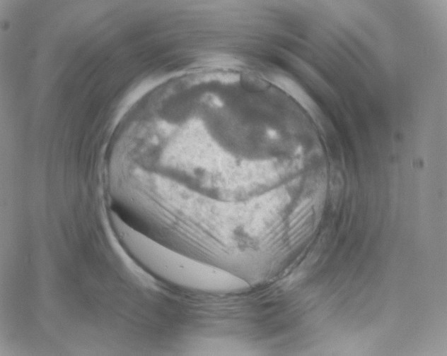 X0000065241055200603131058