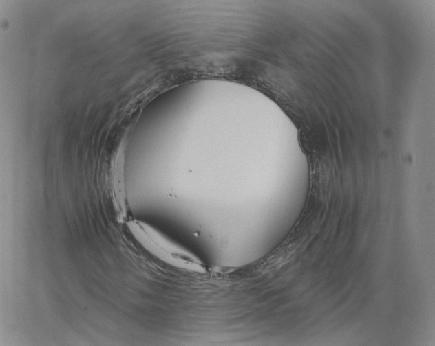 X0000065241058200603131057