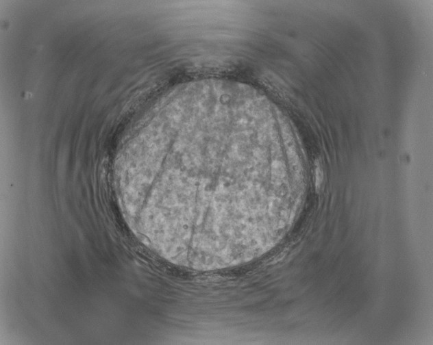 X0000065241059200603131057