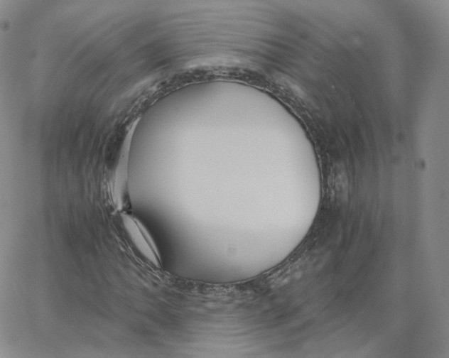 X0000065241062200603131057