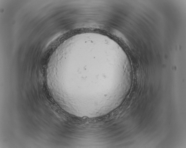 X0000065241064200603131057