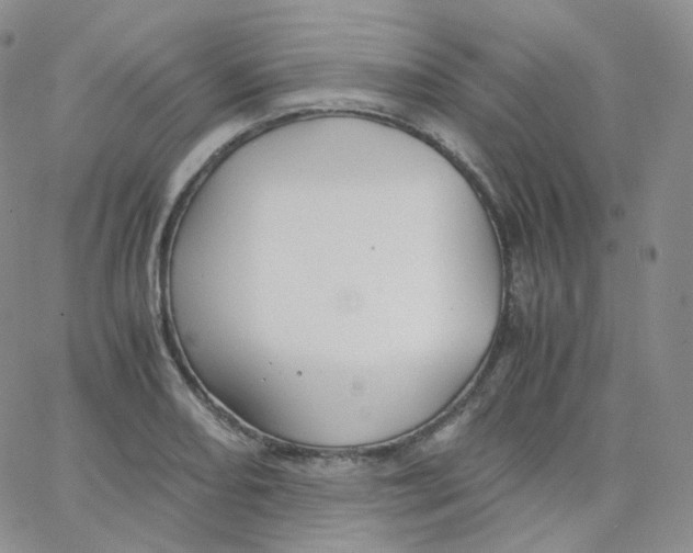 X0000065241082200603131057