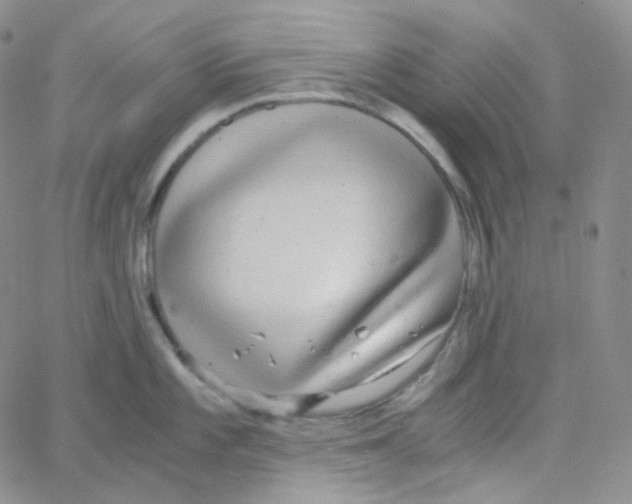 X0000065241101200603131056