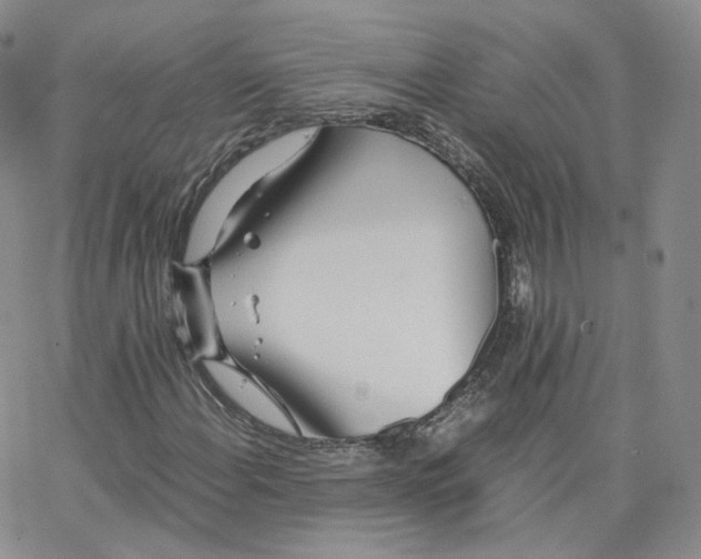 X0000065241108200603131056