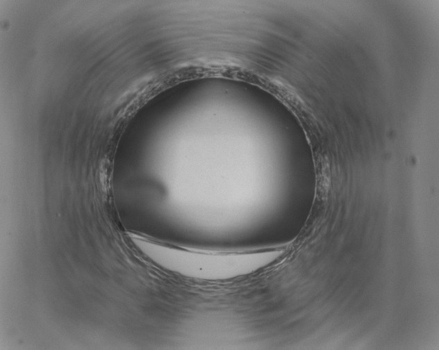 X0000065241110200603131056