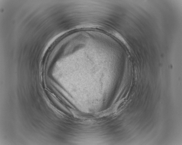 X0000065241124200603131056