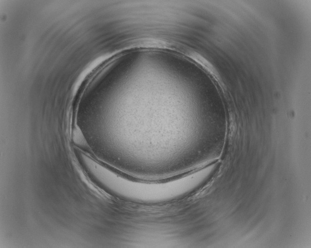 X0000065241128200603131056
