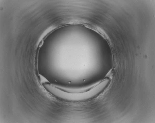 X0000065241138200603131056