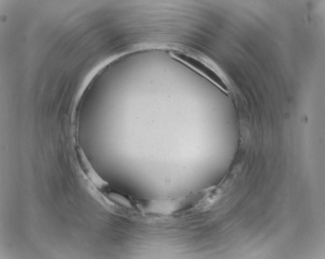 X0000065241148200603131056