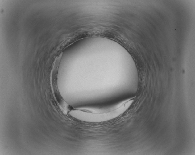 X0000065241153200603131056